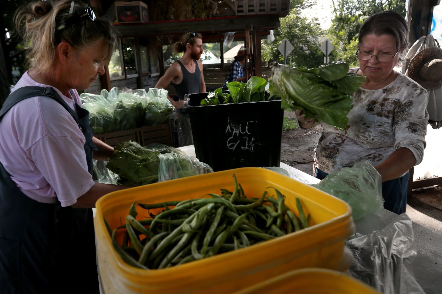 Seeds of Hope Farm in Spanish Lake offers income-tiered CSA shares